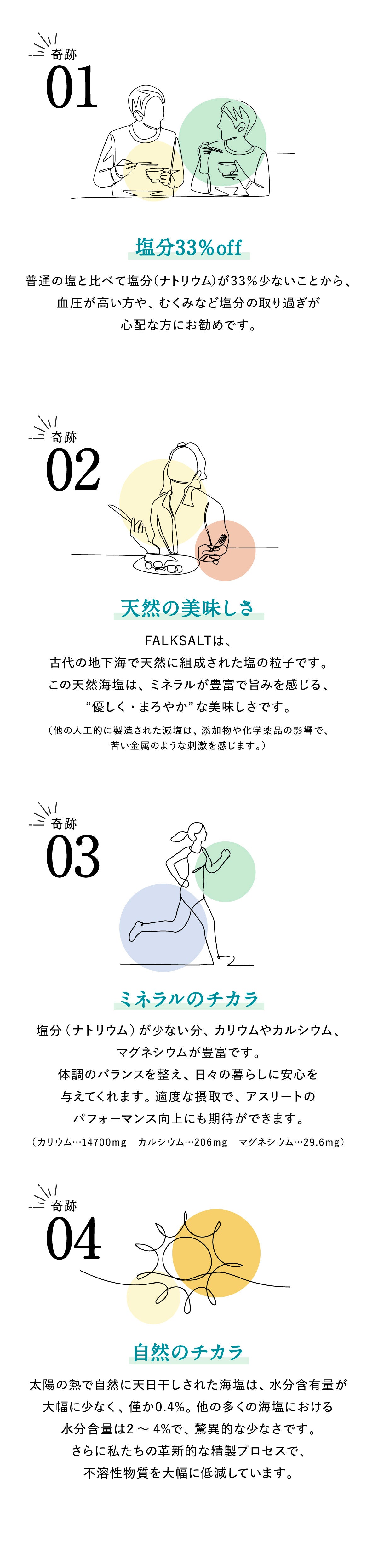 FALK SALTシーソルト 減塩