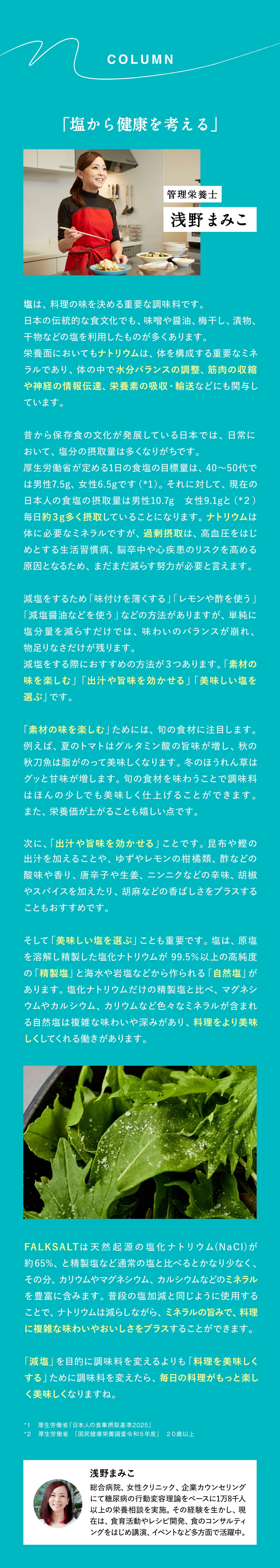FALK SALTシーソルト 減塩