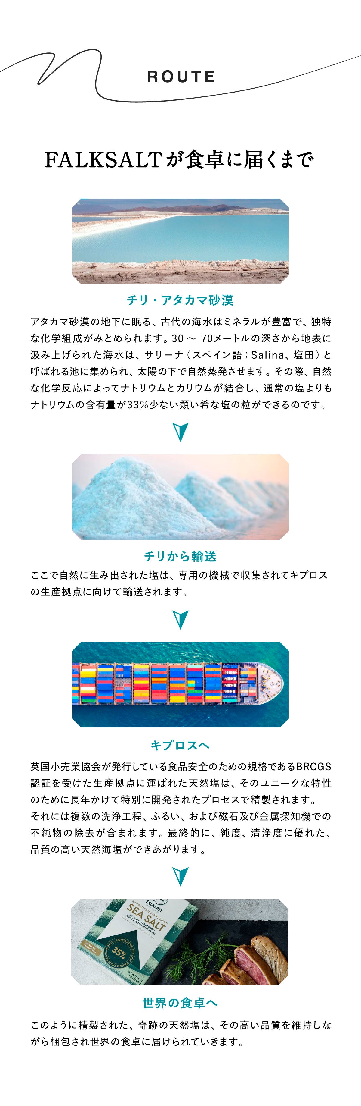 FALK SALTシーソルト 減塩