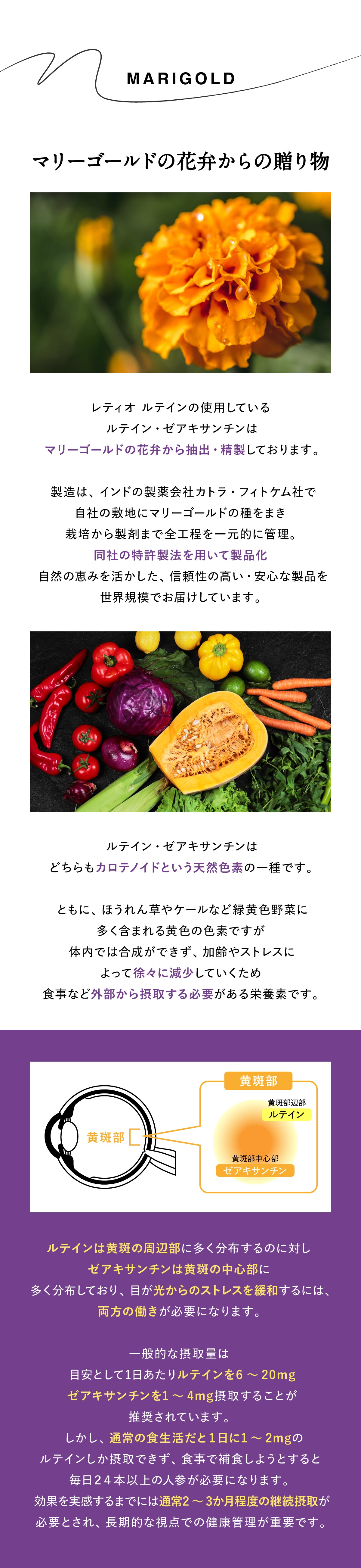 レティオルテイン