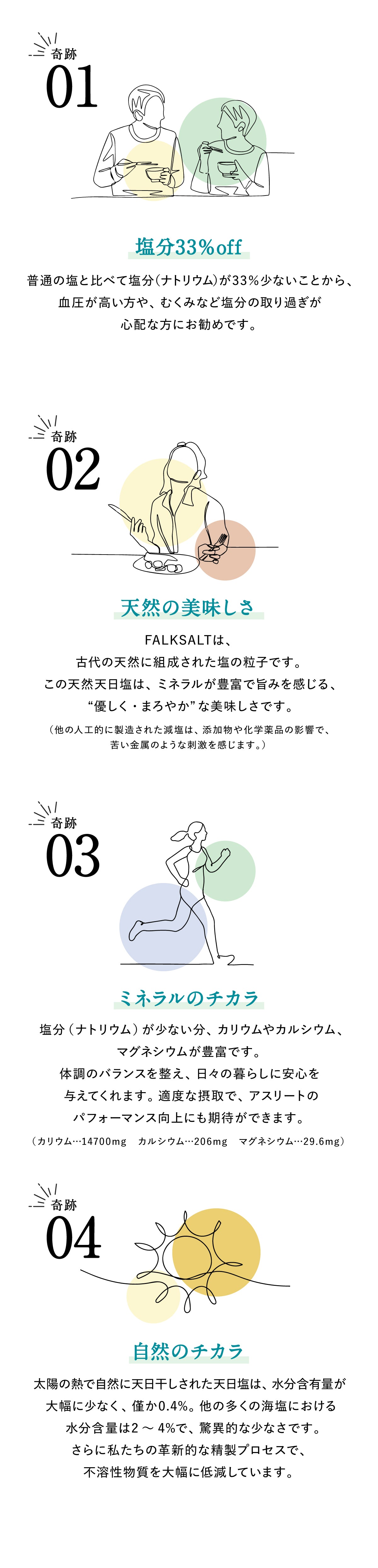 FALK SALTシーソルト 減塩