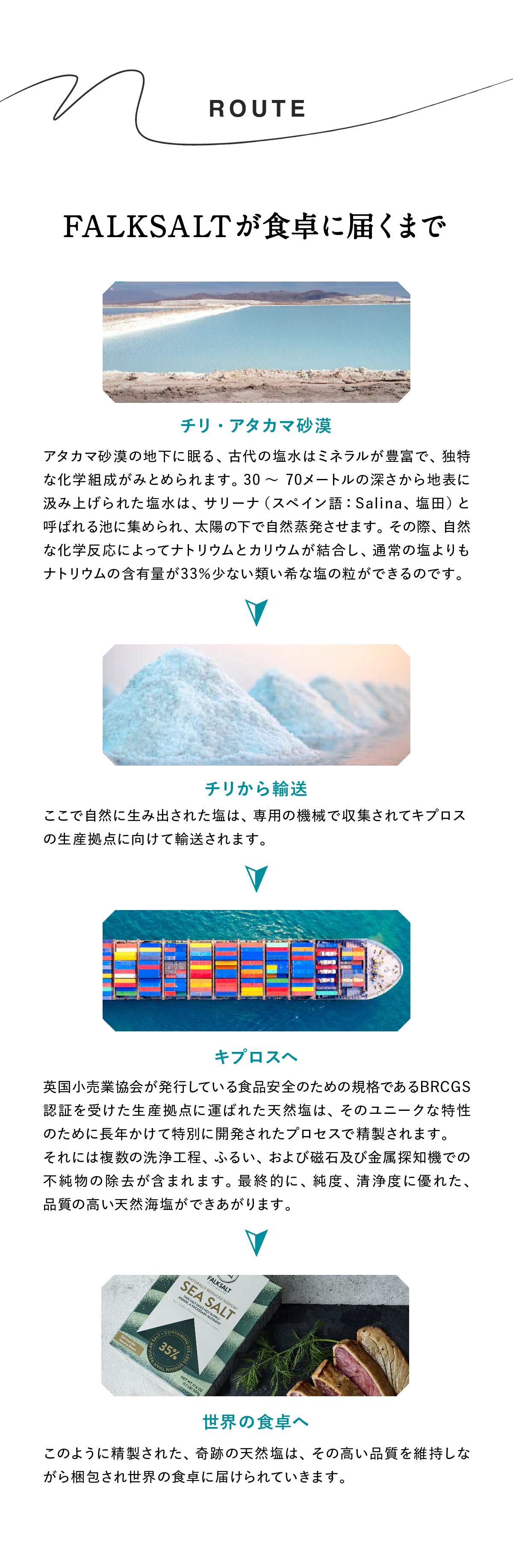 FALK SALTシーソルト 減塩