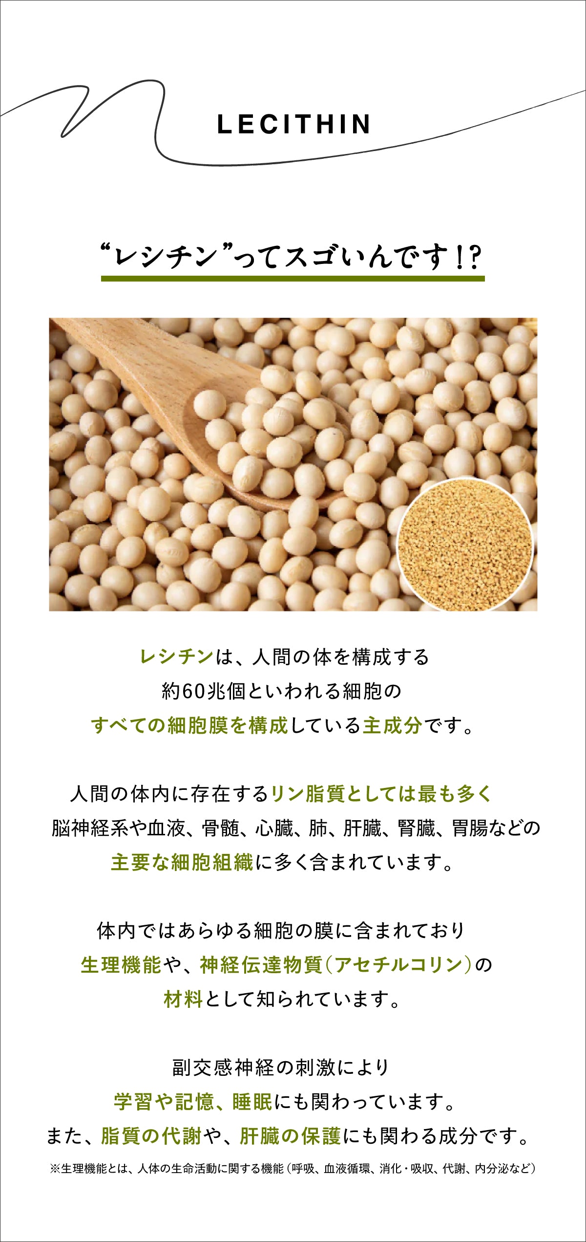 大豆レシチン　ナチュラリーTM ハイ・レシチン　顆粒タイプ