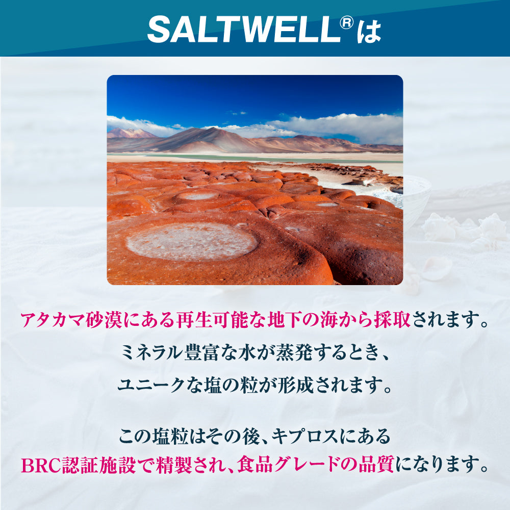 FALK SALTシーソルト 減塩