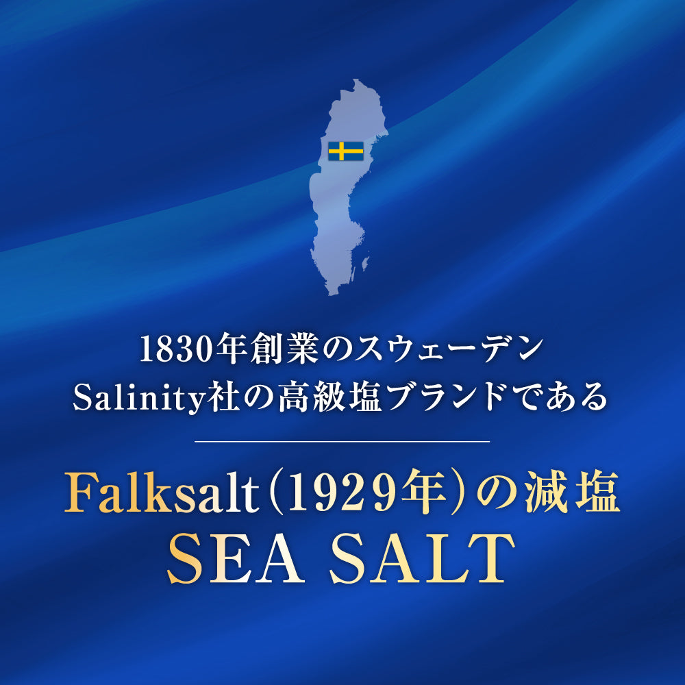 FALK SALTシーソルト 減塩